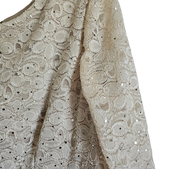 3/4 shimmer lace sleeve shantung skirt Mother of the Bride Dress Wedding Plus - Picture 5 of 11